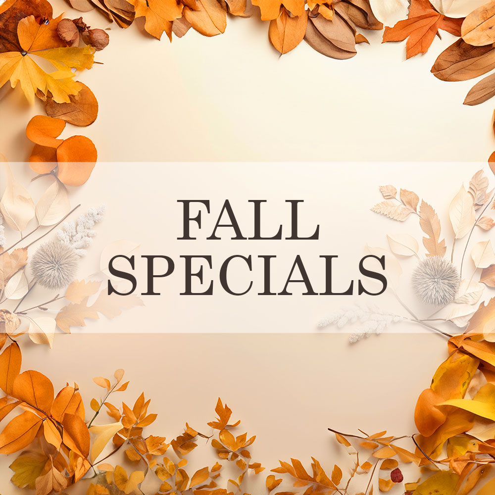 Fall 2023 Specials